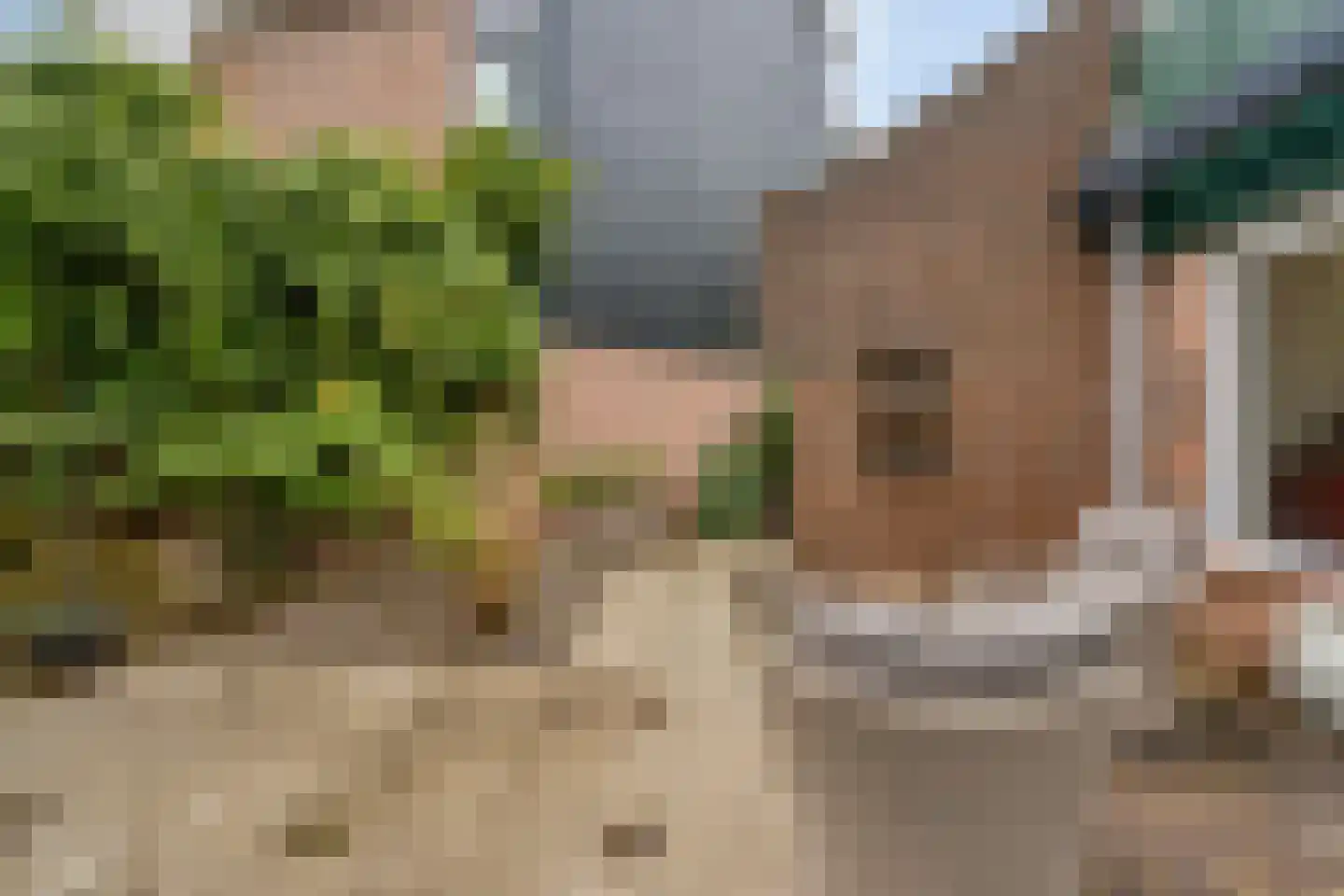 Houtzaagmolen 19 Hoorn thumbnail 23