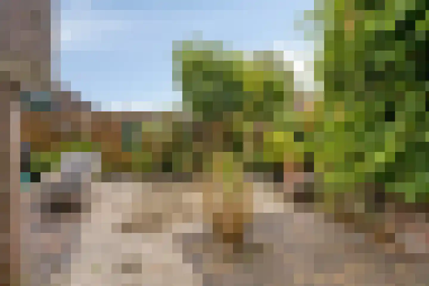 Houtzaagmolen 19 Hoorn thumbnail 25