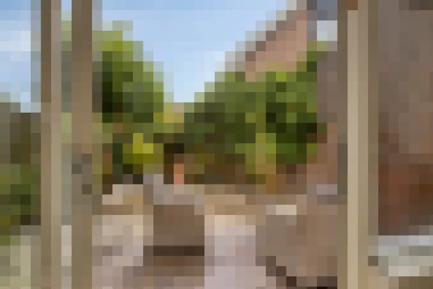 Houtzaagmolen 19 Hoorn thumbnail 6