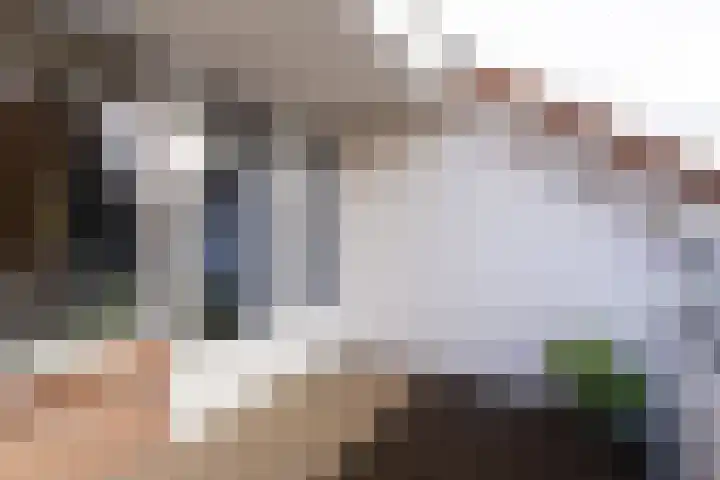 Houtzaagmolen 195 Hoorn thumbnail 4