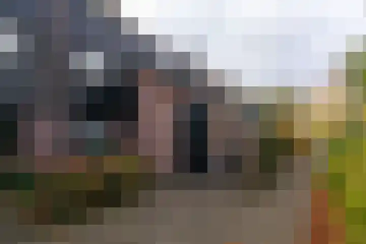 Houtzaagmolen 195 Hoorn thumbnail 6