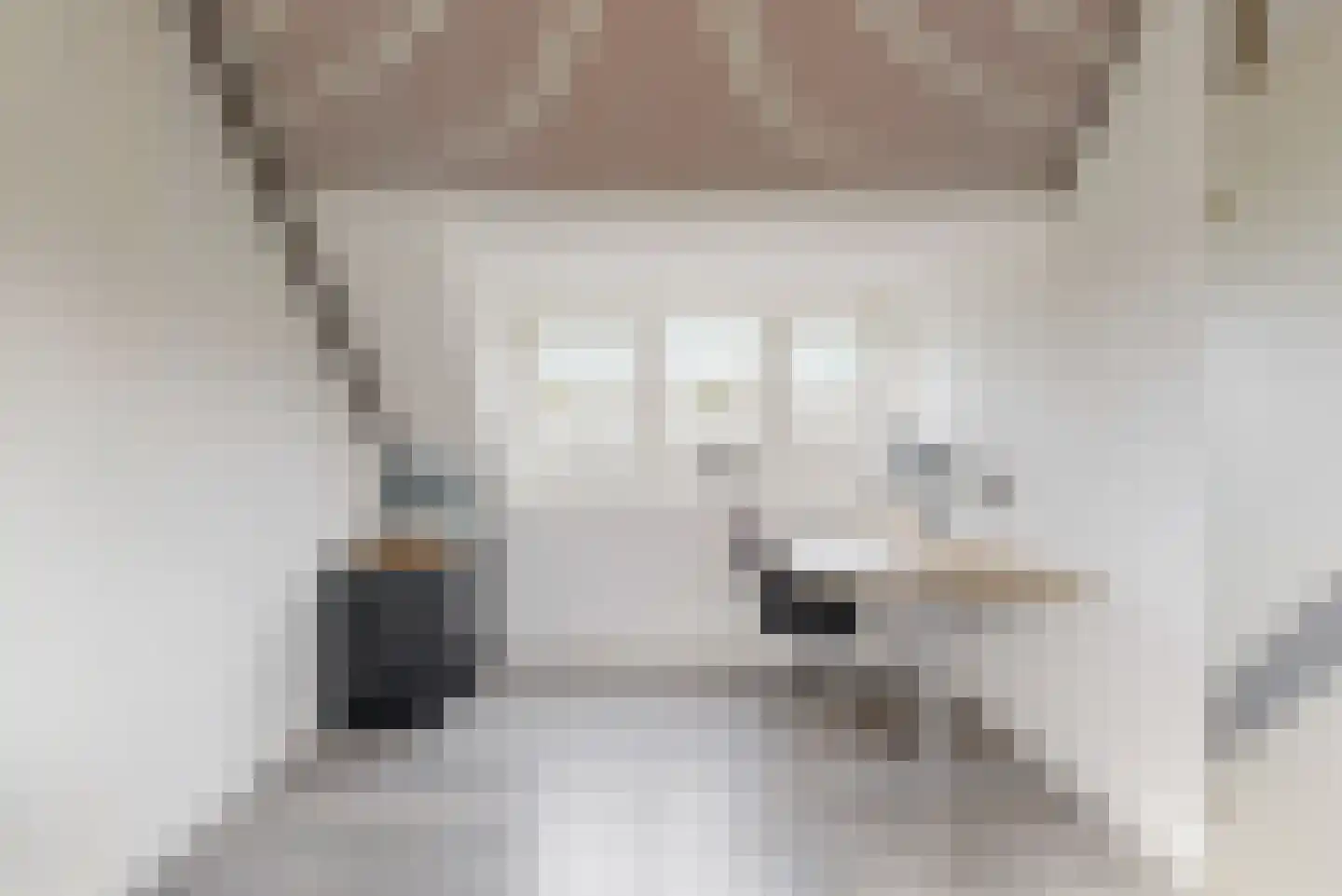 Houtzaagmolen 2 Hoorn thumbnail 19