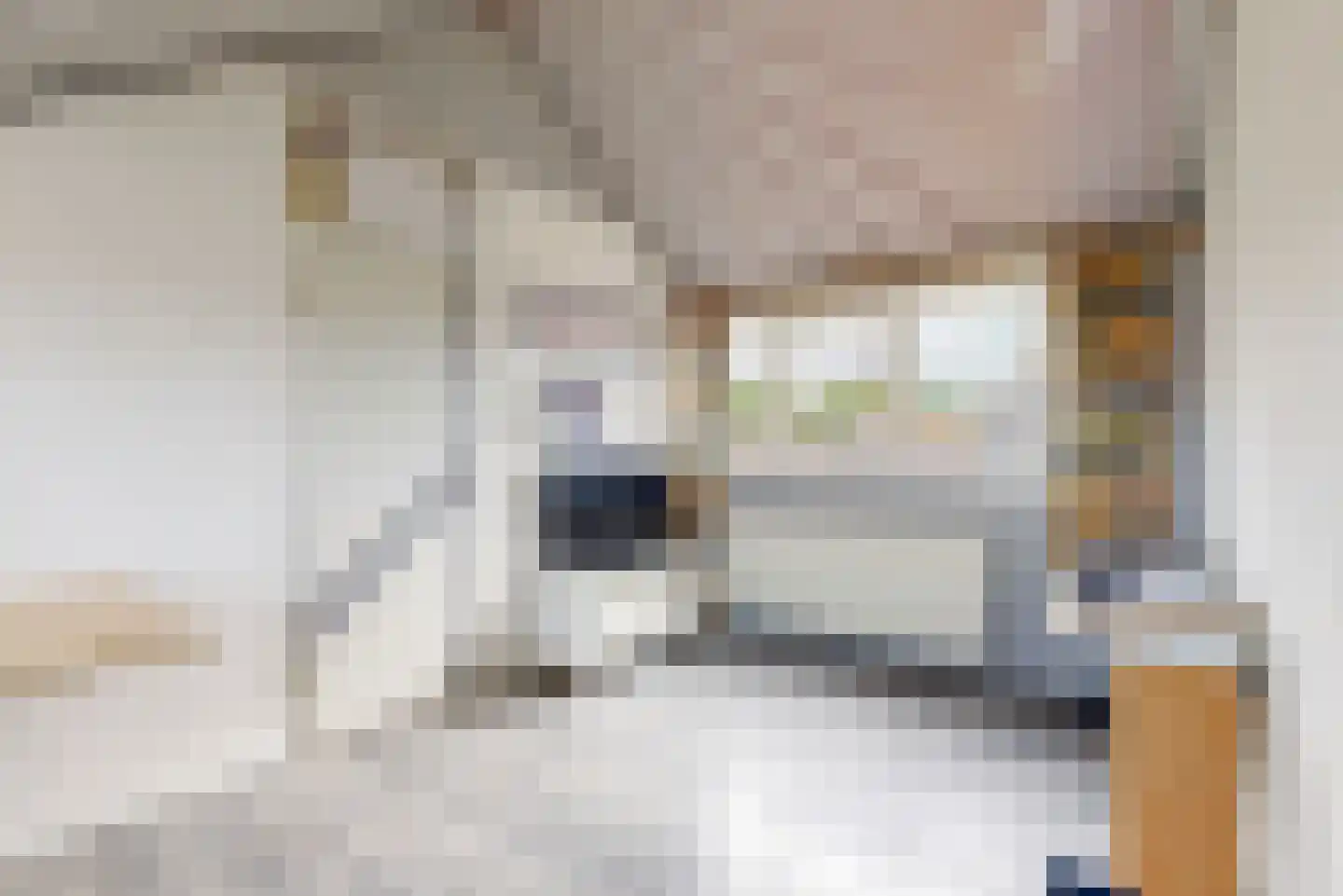 Houtzaagmolen 2 Hoorn thumbnail 20