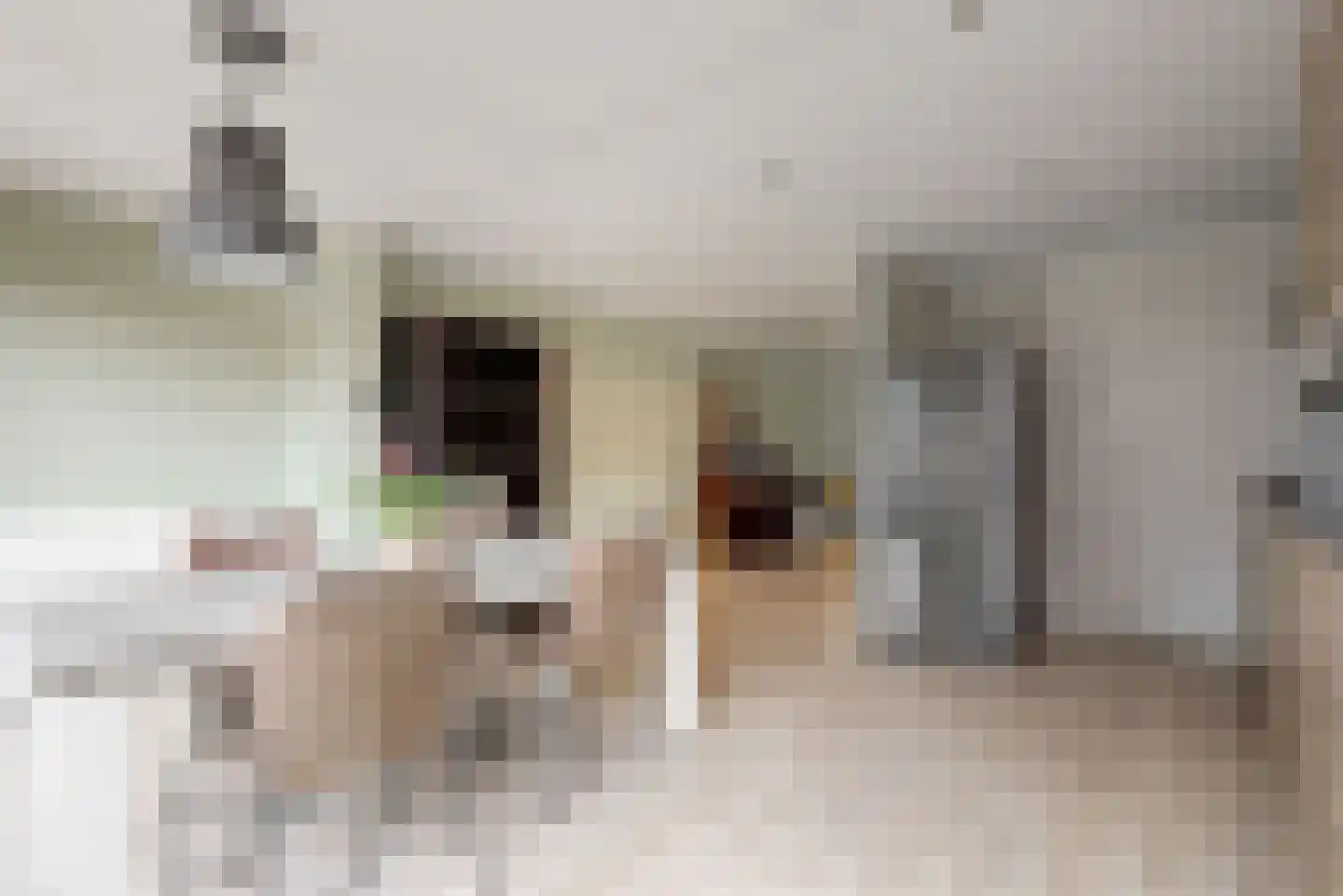 Houtzaagmolen 2 Hoorn thumbnail 8