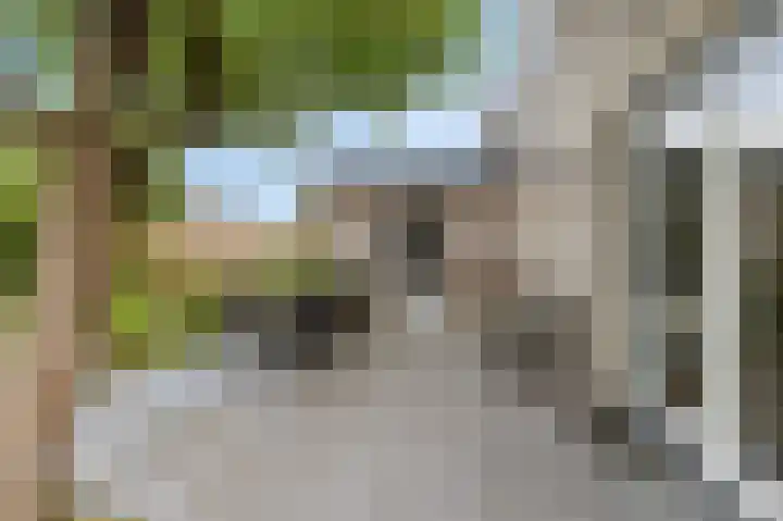Houtzaagmolen 20 Drachten thumbnail 20