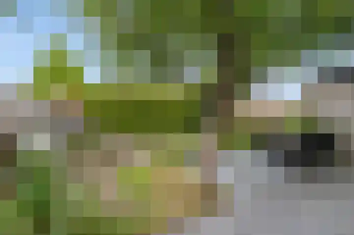 Houtzaagmolen 20 Drachten thumbnail 21