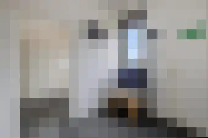 Houtzaagmolen 20 Drachten thumbnail 33