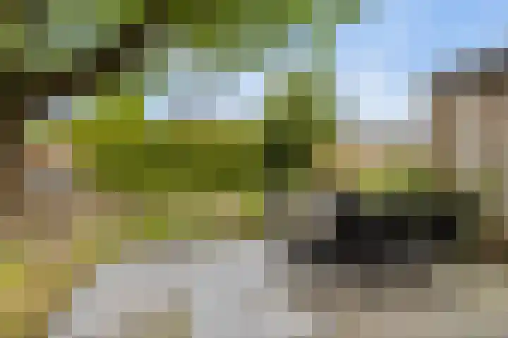Houtzaagmolen 20 Drachten thumbnail 34