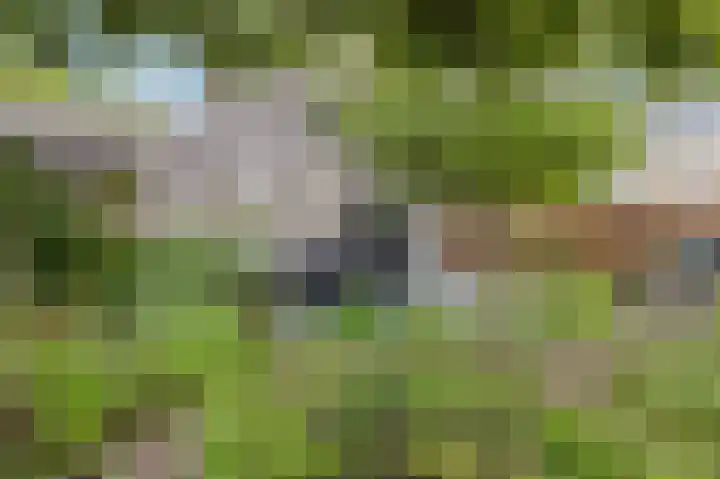Houtzaagmolen 20 Drachten thumbnail 36