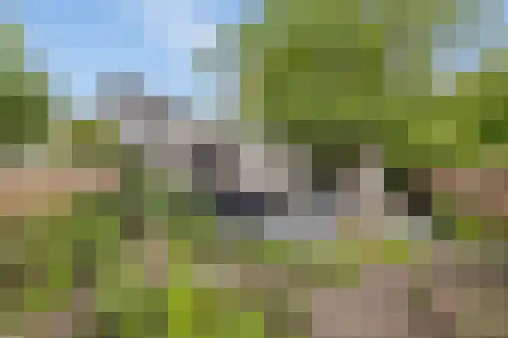 Houtzaagmolen 20 Drachten thumbnail 37