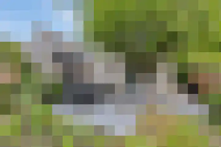 Houtzaagmolen 20 Drachten thumbnail 38