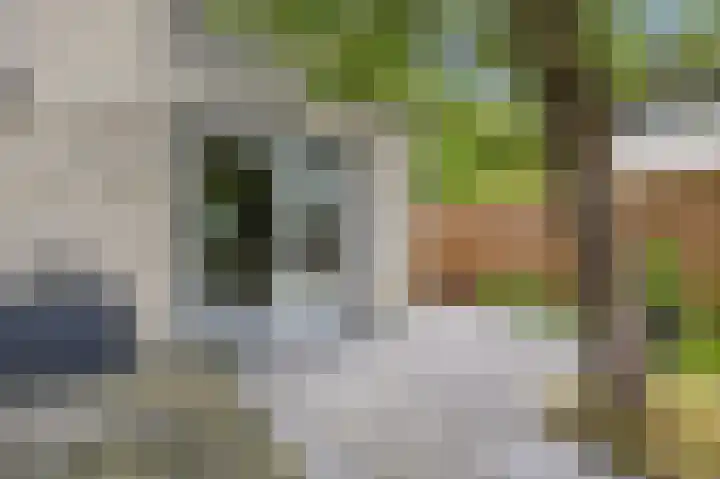 Houtzaagmolen 20 Drachten thumbnail 39