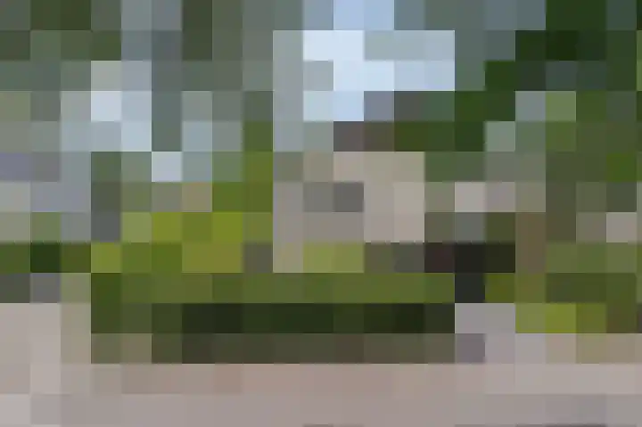 Houtzaagmolen 20 Drachten thumbnail 41