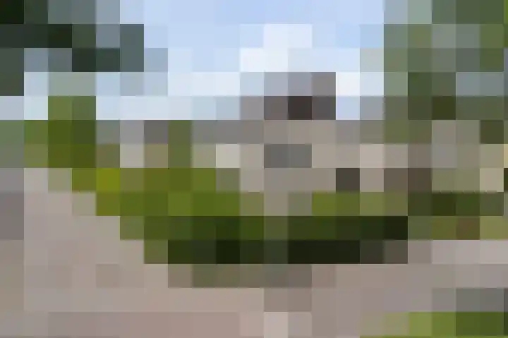 Houtzaagmolen 20 Drachten thumbnail 42