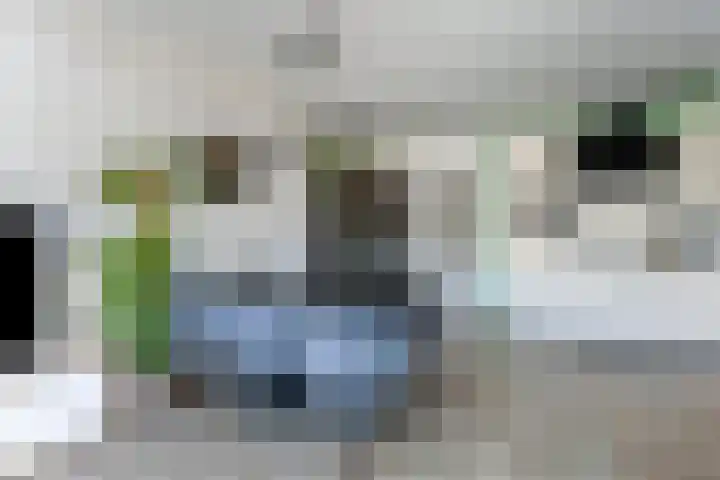 Houtzaagmolen 200 Hoorn thumbnail 11