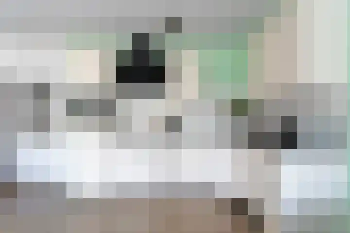 Houtzaagmolen 200 Hoorn thumbnail 13