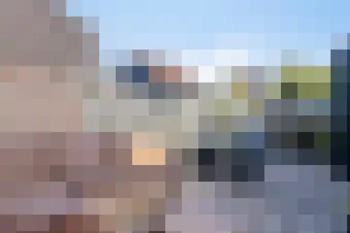 Houtzaagmolen 200 Hoorn thumbnail 19