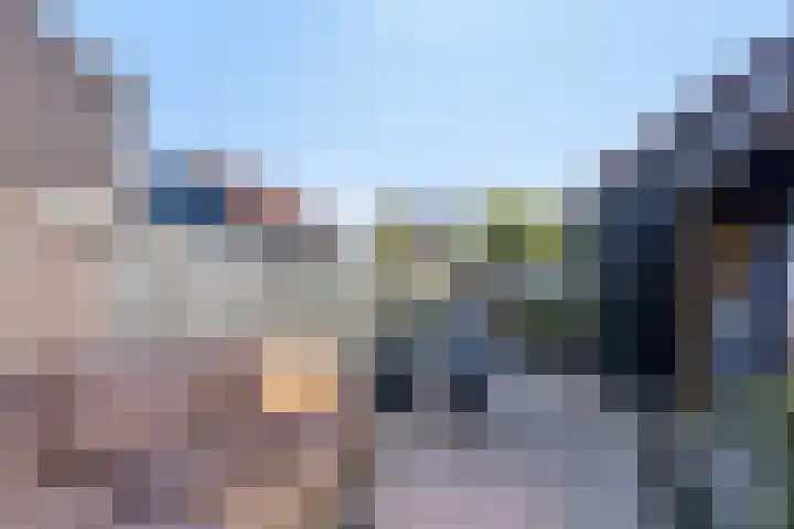 Houtzaagmolen 200 Hoorn thumbnail 20