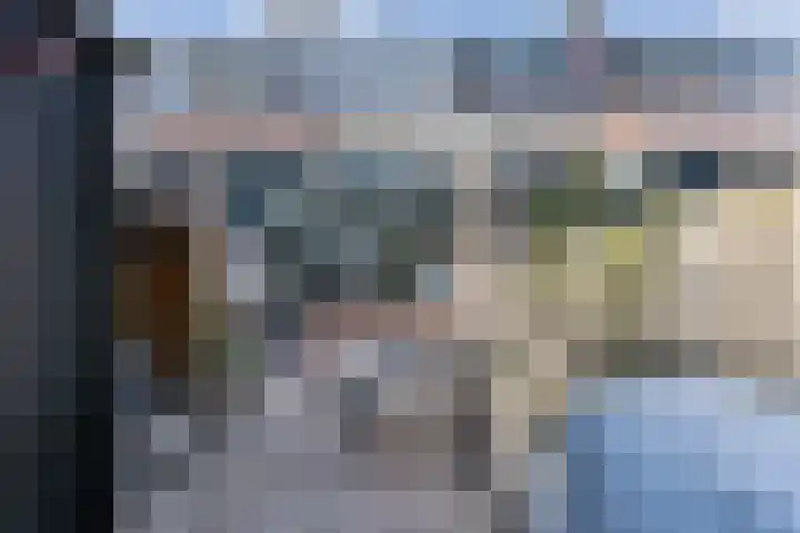 Houtzaagmolen 200 Hoorn thumbnail 21