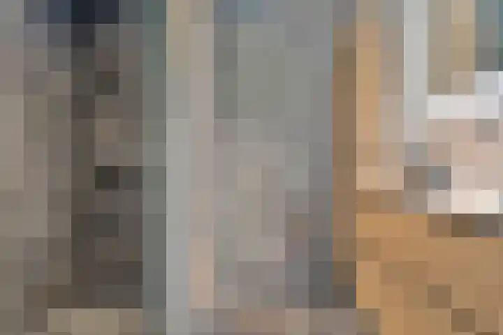 Houtzaagmolen 200 Hoorn thumbnail 4