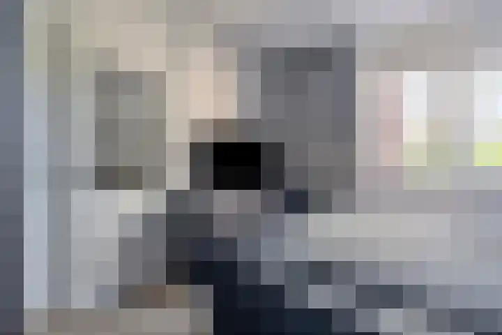 Houtzaagmolen 200 Hoorn thumbnail 5