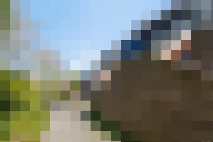 Houtzaagmolen 200 Hoorn thumbnail 6