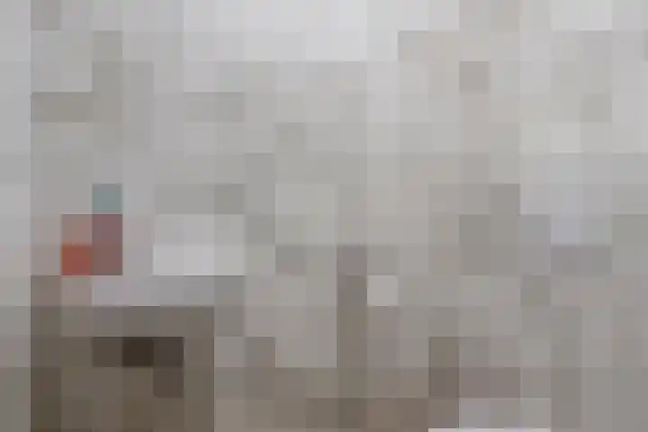 Houtzaagmolen 200 Hoorn thumbnail 8