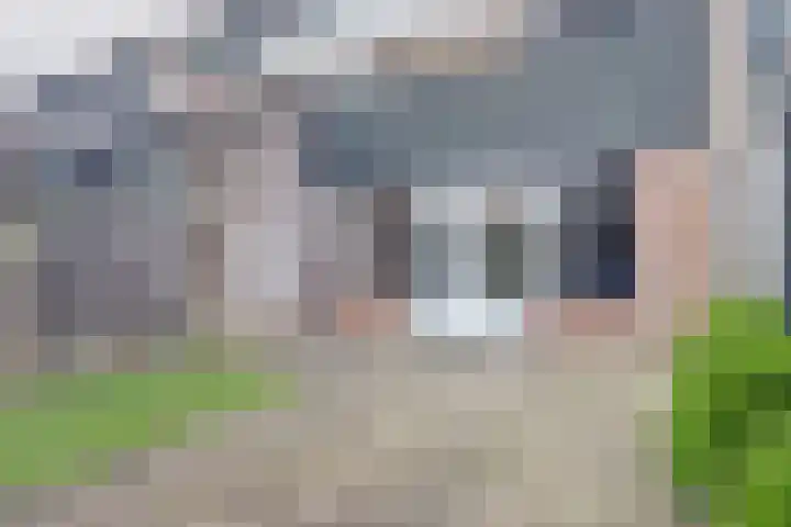 Houtzaagmolen 202 Hoorn thumbnail 18