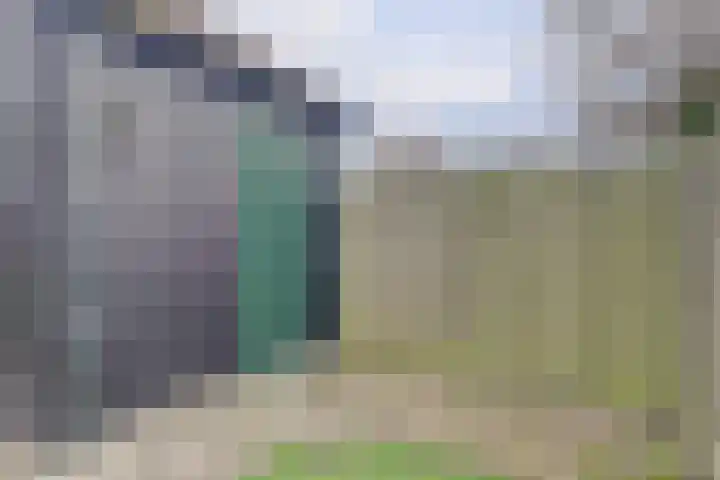 Houtzaagmolen 202 Hoorn thumbnail 27