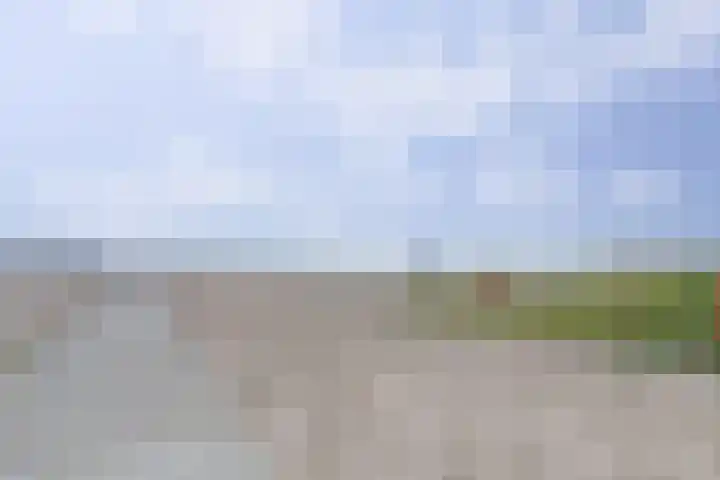 Houtzaagmolen 202 Hoorn thumbnail 33
