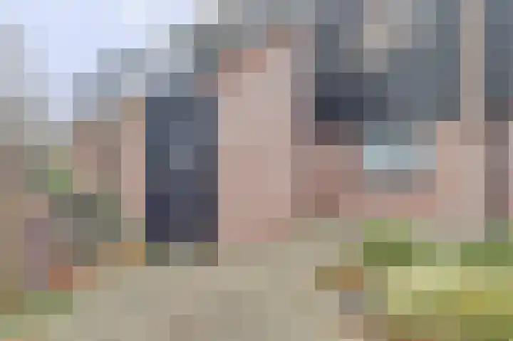 Houtzaagmolen 202 Hoorn thumbnail 4