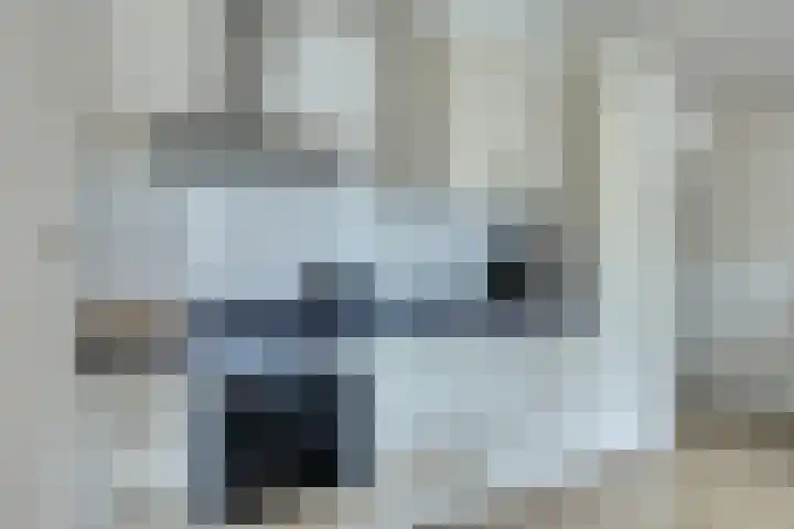Houtzaagmolen 202 Hoorn thumbnail 8