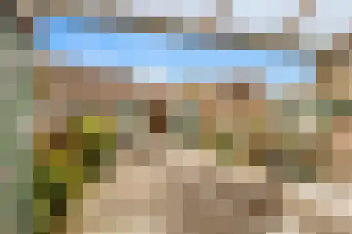 Houtzaagmolen 214 Hoorn thumbnail 24