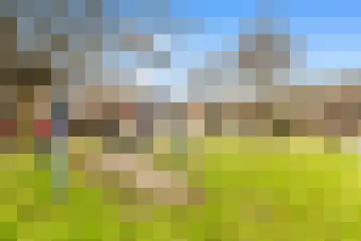 Houtzaagmolen 214 Hoorn thumbnail 29