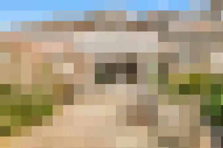 Houtzaagmolen 214 Hoorn thumbnail 4