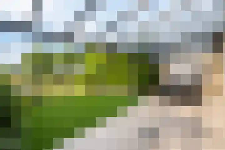 Houtzaagmolen 26 Weert thumbnail 40