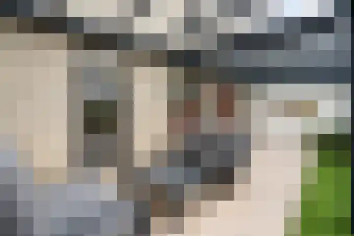 Houtzaagmolen 26 Weert thumbnail 42