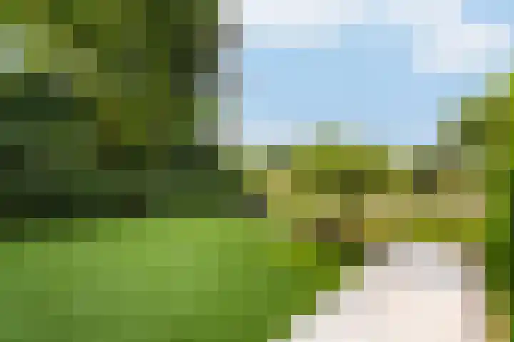 Houtzaagmolen 26 Weert thumbnail 44