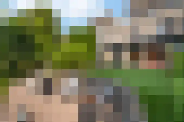 Houtzaagmolen 26 Weert thumbnail 47