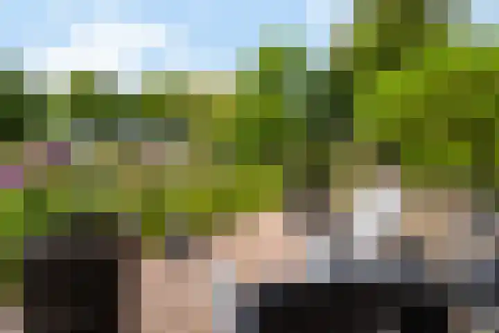 Houtzaagmolen 26 Weert thumbnail 48