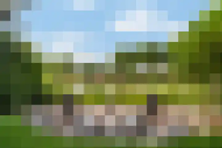 Houtzaagmolen 26 Weert thumbnail 49