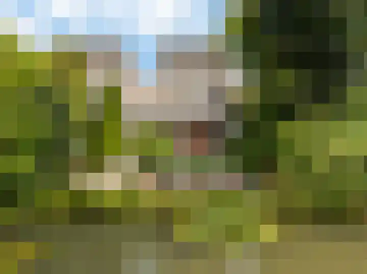 Houtzaagmolen 26 Weert thumbnail 5