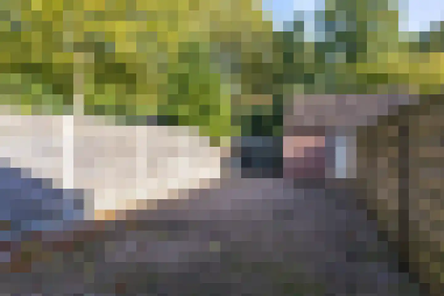 Houtzaagmolen 33 Hoorn thumbnail 5
