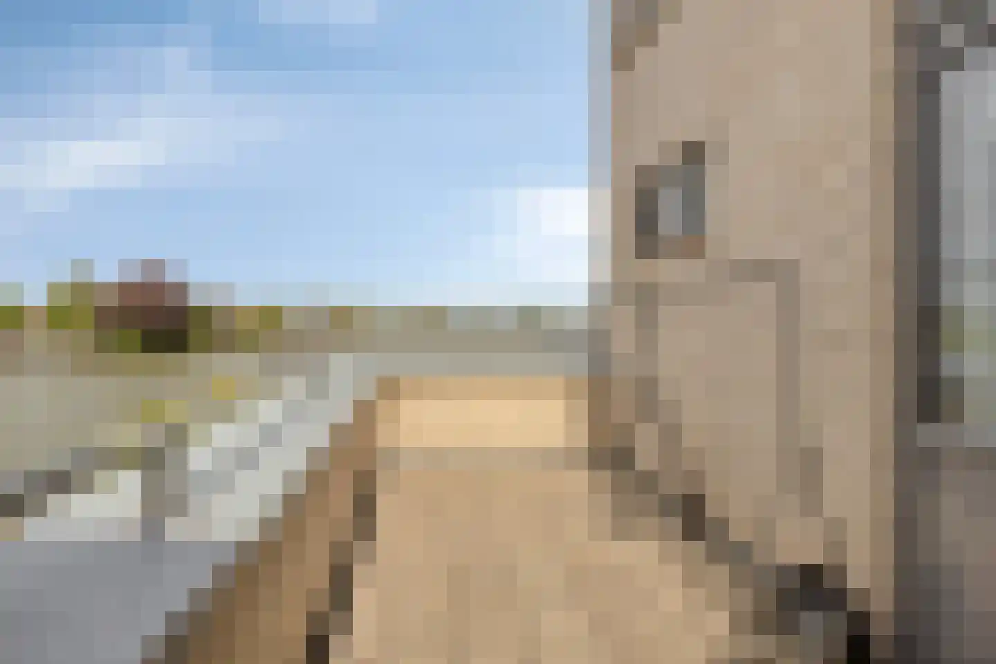 Houtzaagmolen 36 Ouderkerk aan den IJssel thumbnail 20