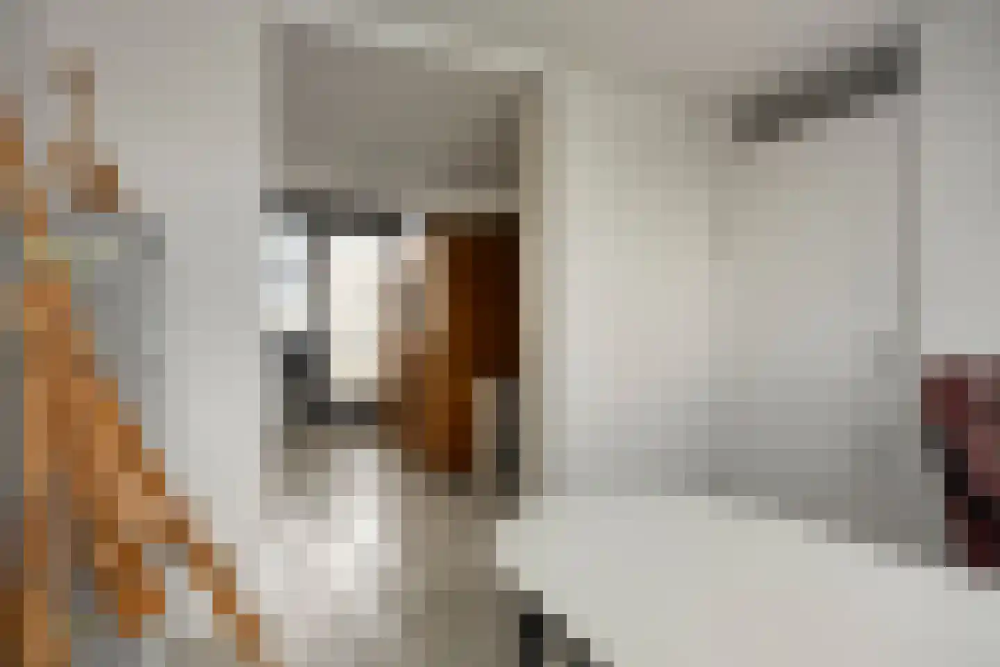 Houtzaagmolen 36 Ouderkerk aan den IJssel thumbnail 25