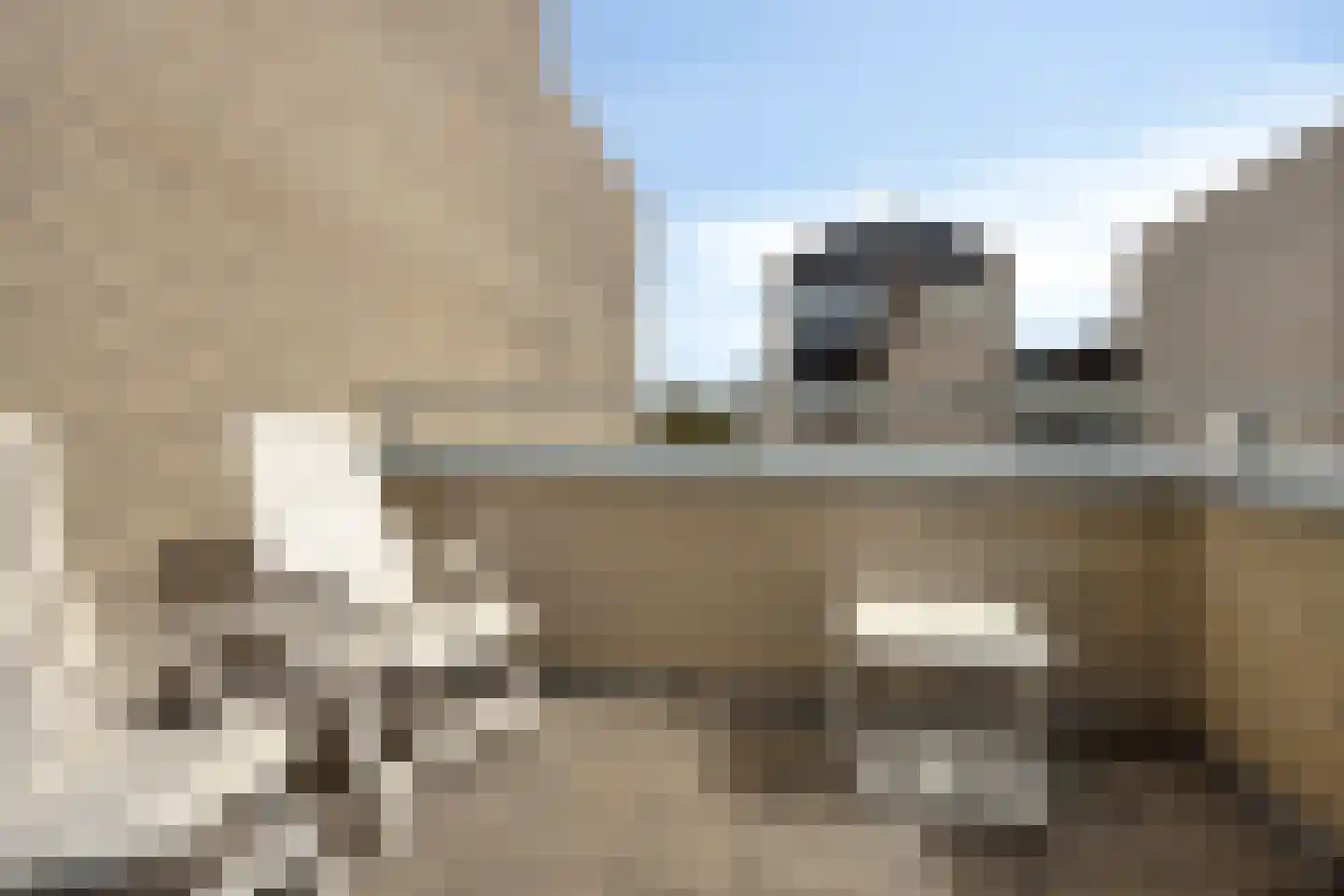 Houtzaagmolen 36 Ouderkerk aan den IJssel thumbnail 28