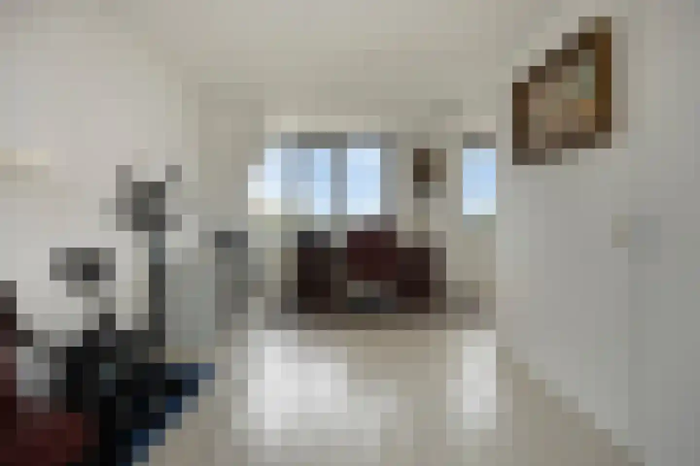 Houtzaagmolen 36 Ouderkerk aan den IJssel thumbnail 32