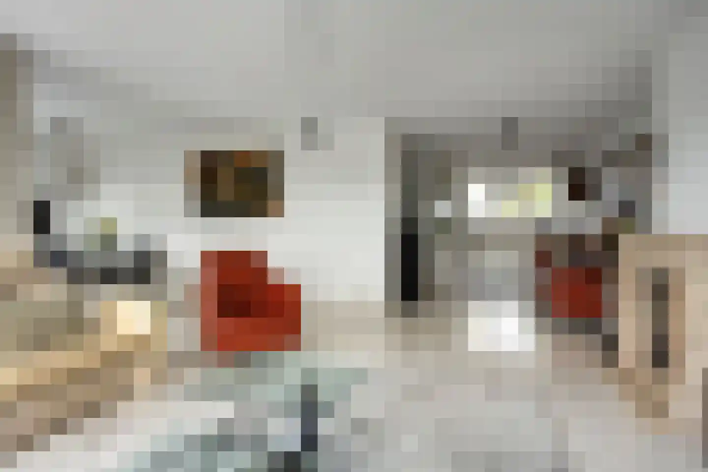 Houtzaagmolen 36 Ouderkerk aan den IJssel thumbnail 6