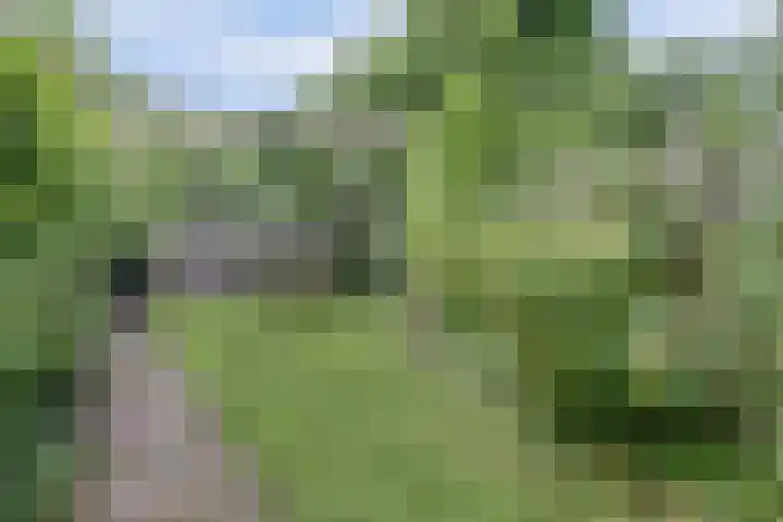 Houtzaagmolen 37 Heerhugowaard thumbnail 28