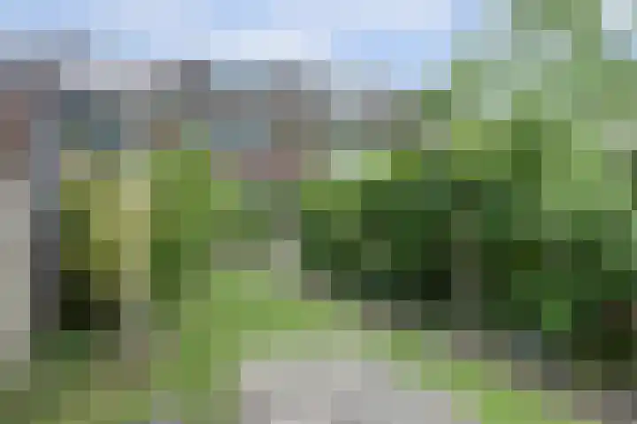 Houtzaagmolen 37 Heerhugowaard thumbnail 29